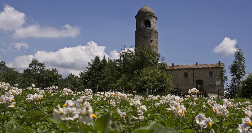 Montagna Verde Villa Licciana Nardi Luaran gambar